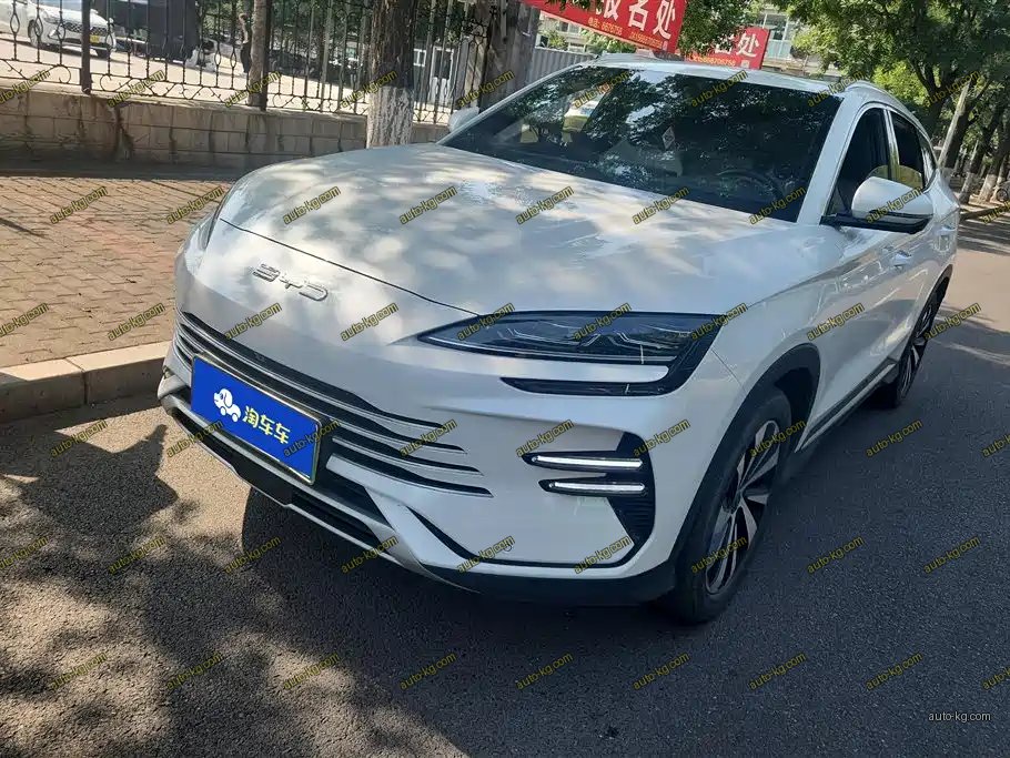 BYD PLUS New Energy 2024