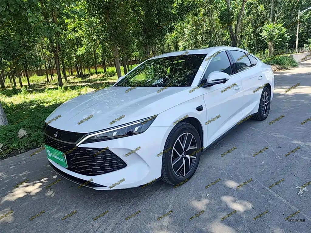 BYD Qin L 2025