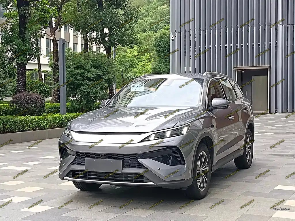 BYD Pro New Energy 2025