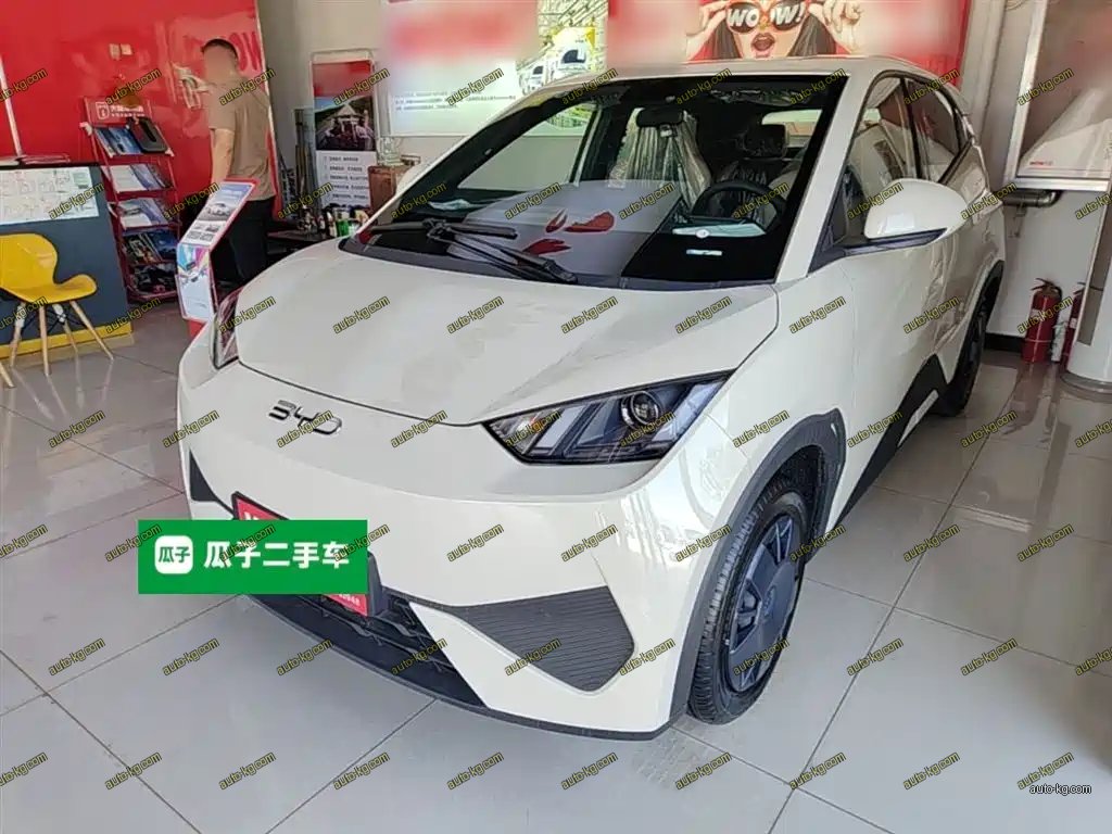 BYD Seagull 2026