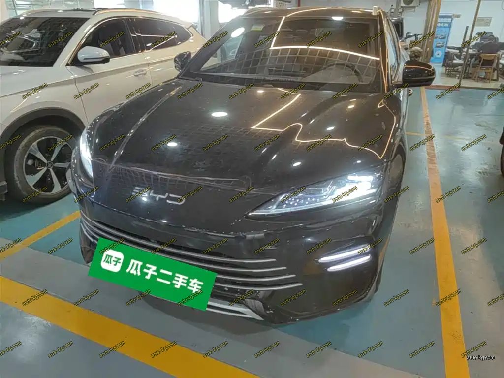 BYD PLUS New Energy 2024