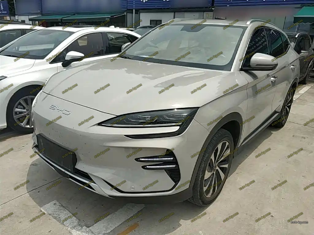 BYD PLUS New Energy 2024