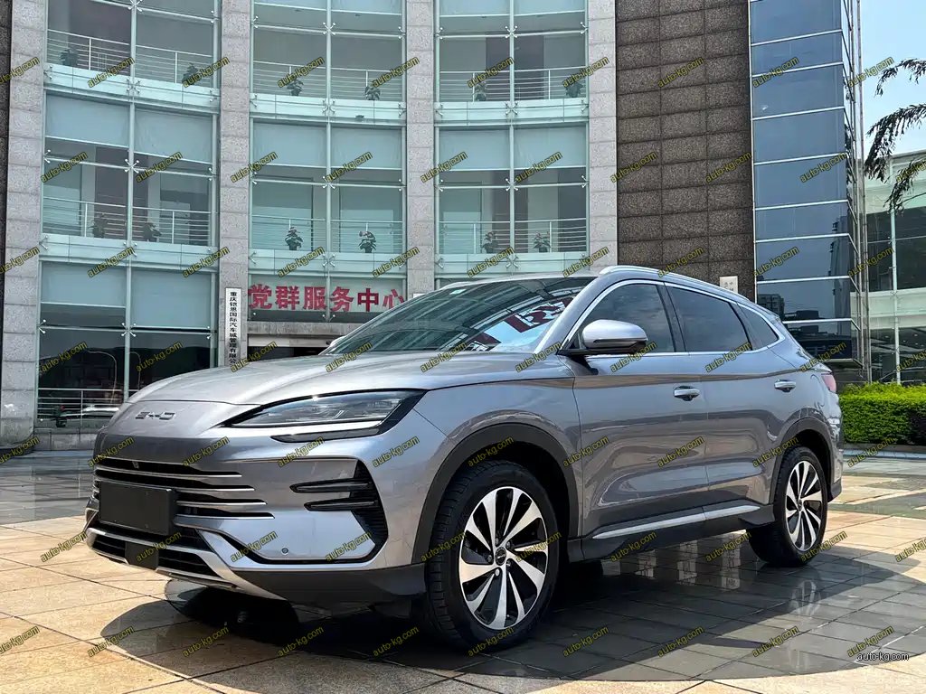 BYD PLUS New Energy 2024