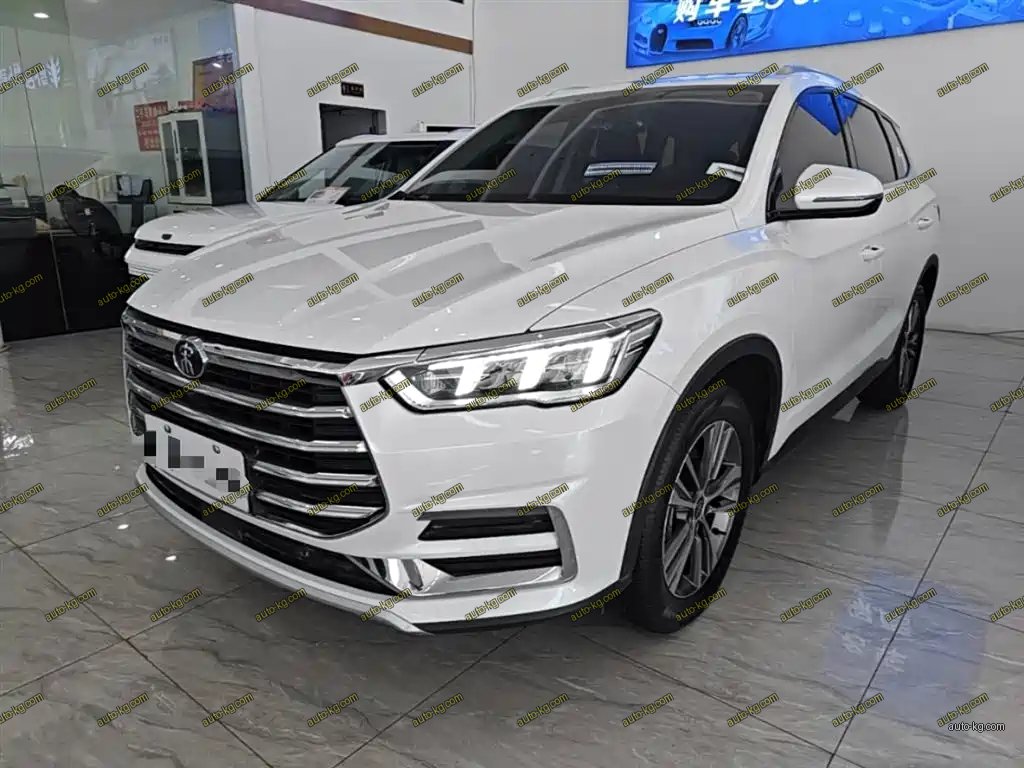 BYD Pro 2020