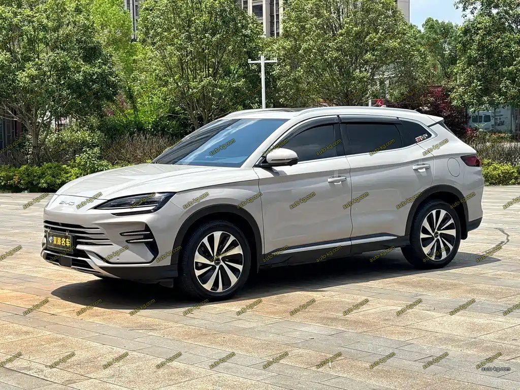 BYD PLUS New Energy 2024