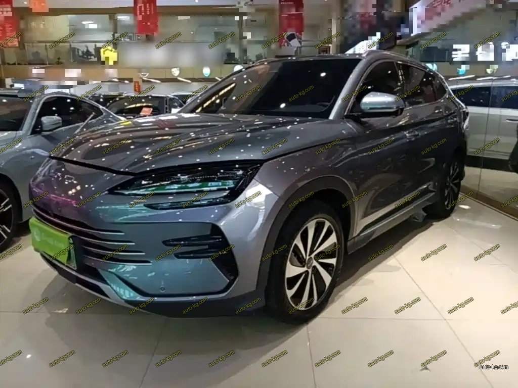 BYD PLUS New Energy 2024