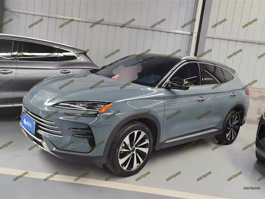BYD PLUS New Energy 2024