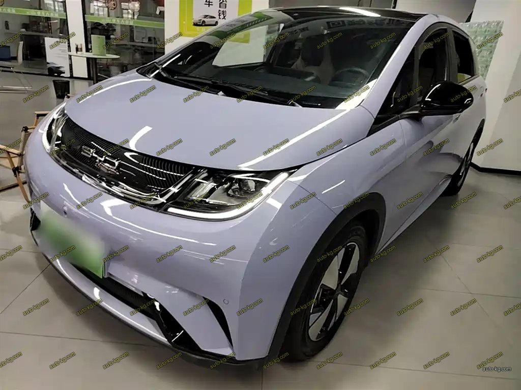 BYD Dolphin 2024