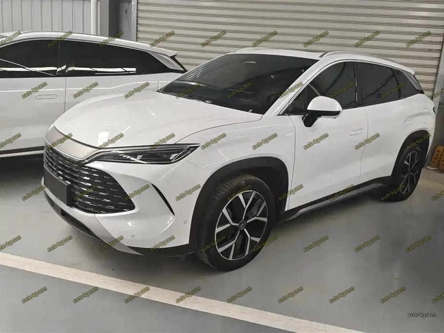 BYD L DM-i 2024