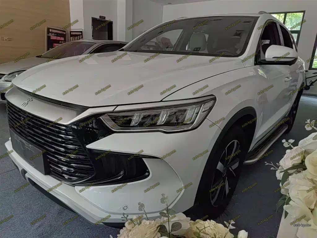BYD Pro New Energy 2024