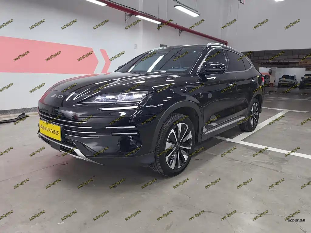 BYD PLUS New Energy 2025