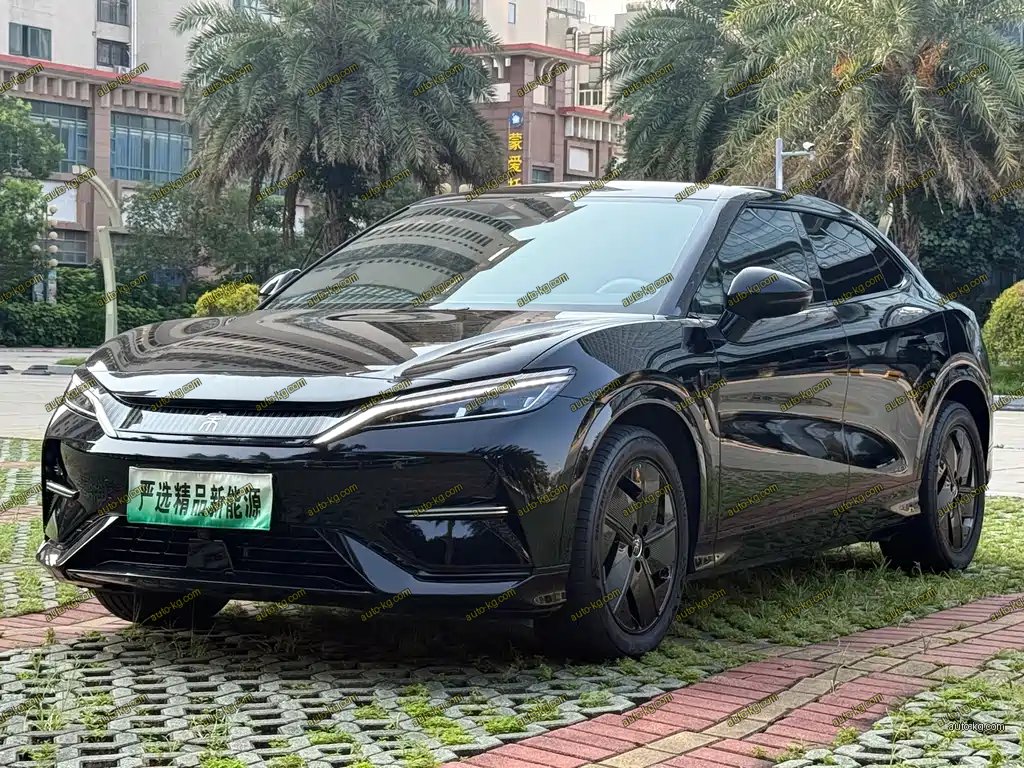 BYD L EV 2024