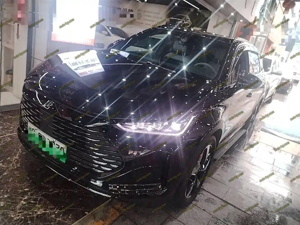 BYD Tang New Energy 2024