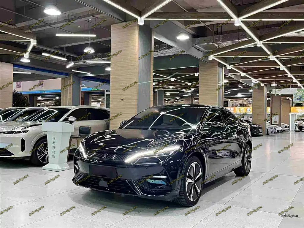 BYD L EV 2024
