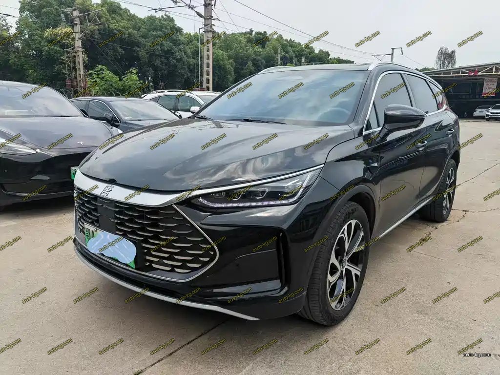 BYD Tang New Energy 2025