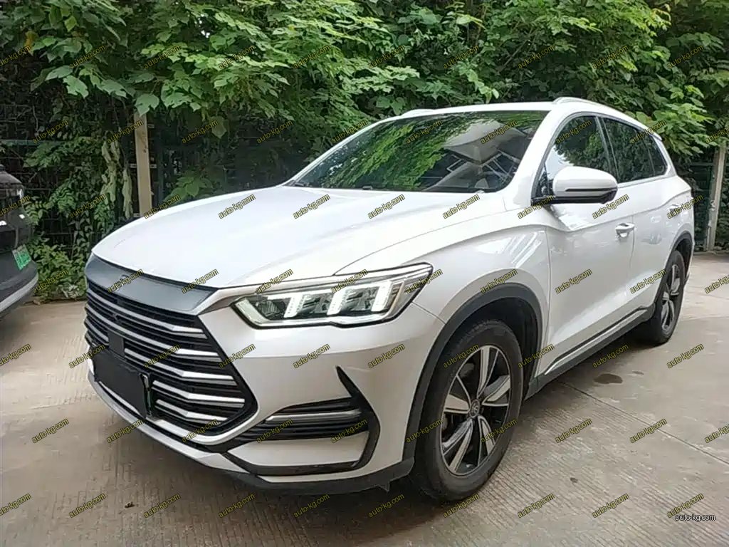 BYD Pro New Energy 2022