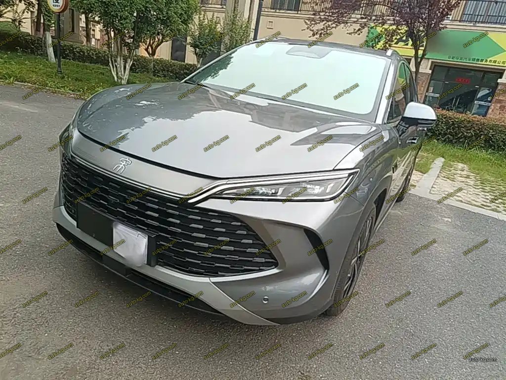 BYD L DM-i 2025