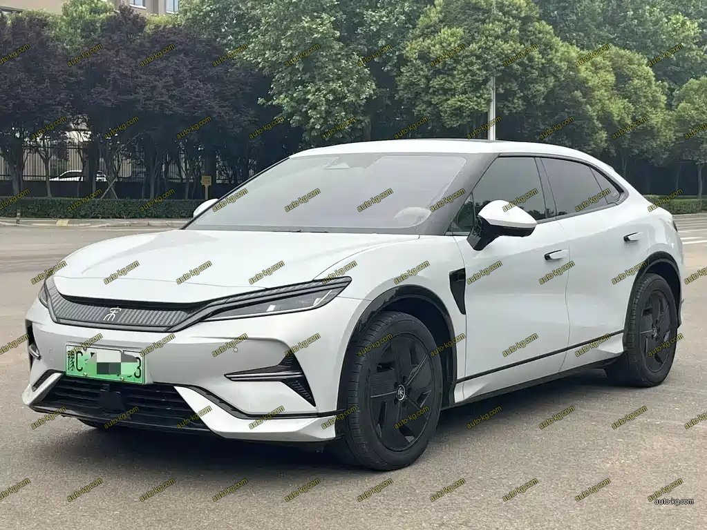 BYD L EV 2024