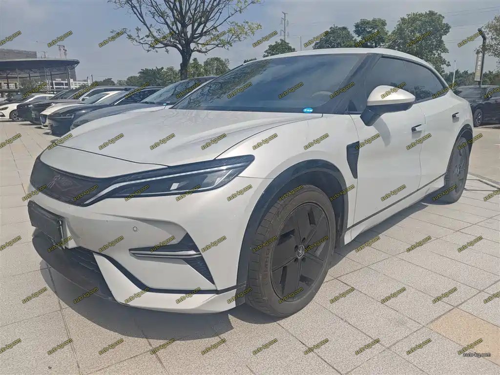 BYD L EV 2024