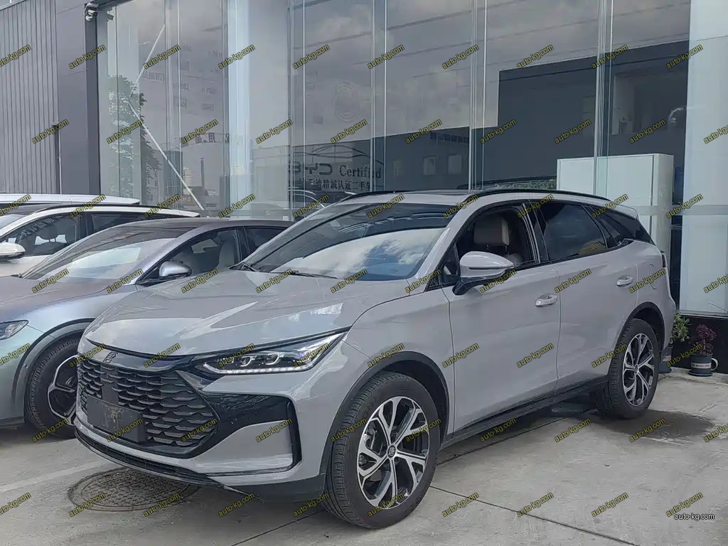 BYD Tang New Energy 2025