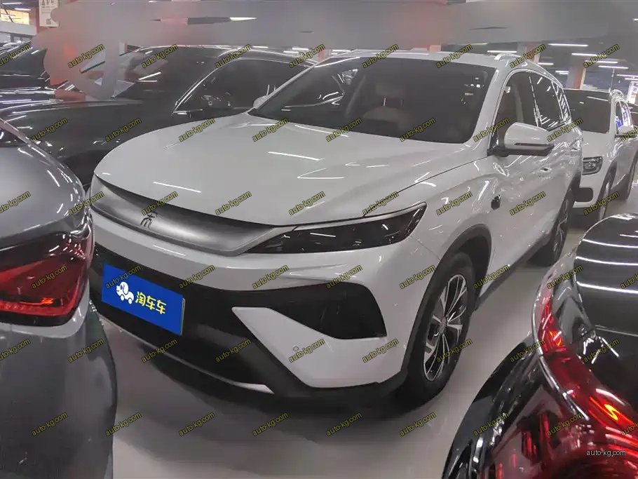 BYD Pro New Energy 2025