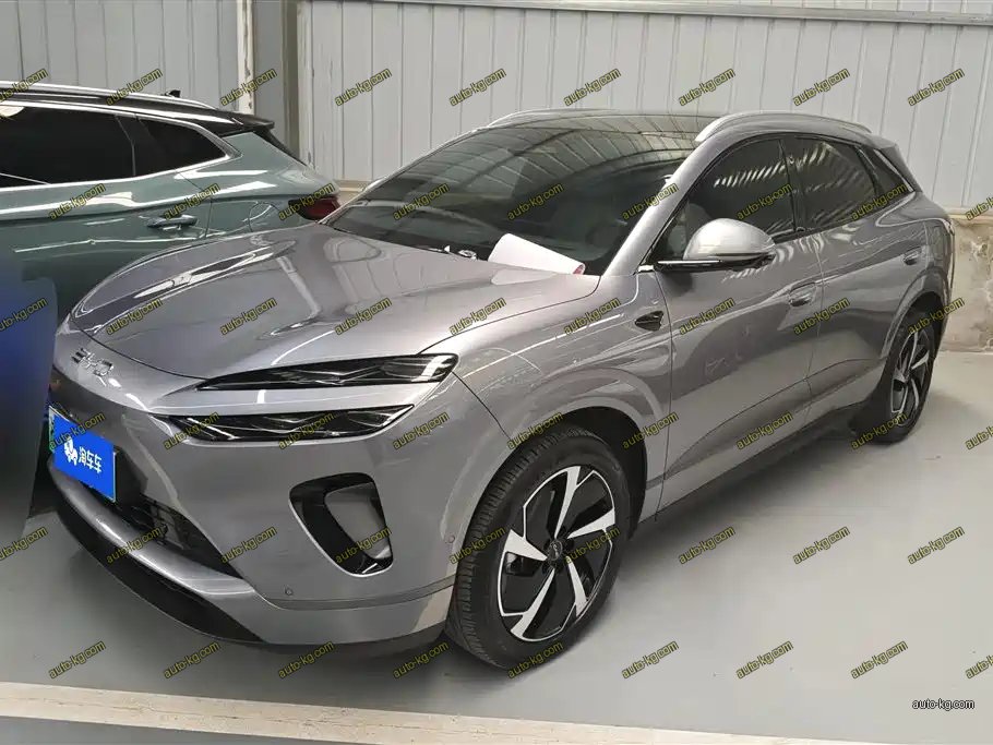 BYD 海狮06 2025