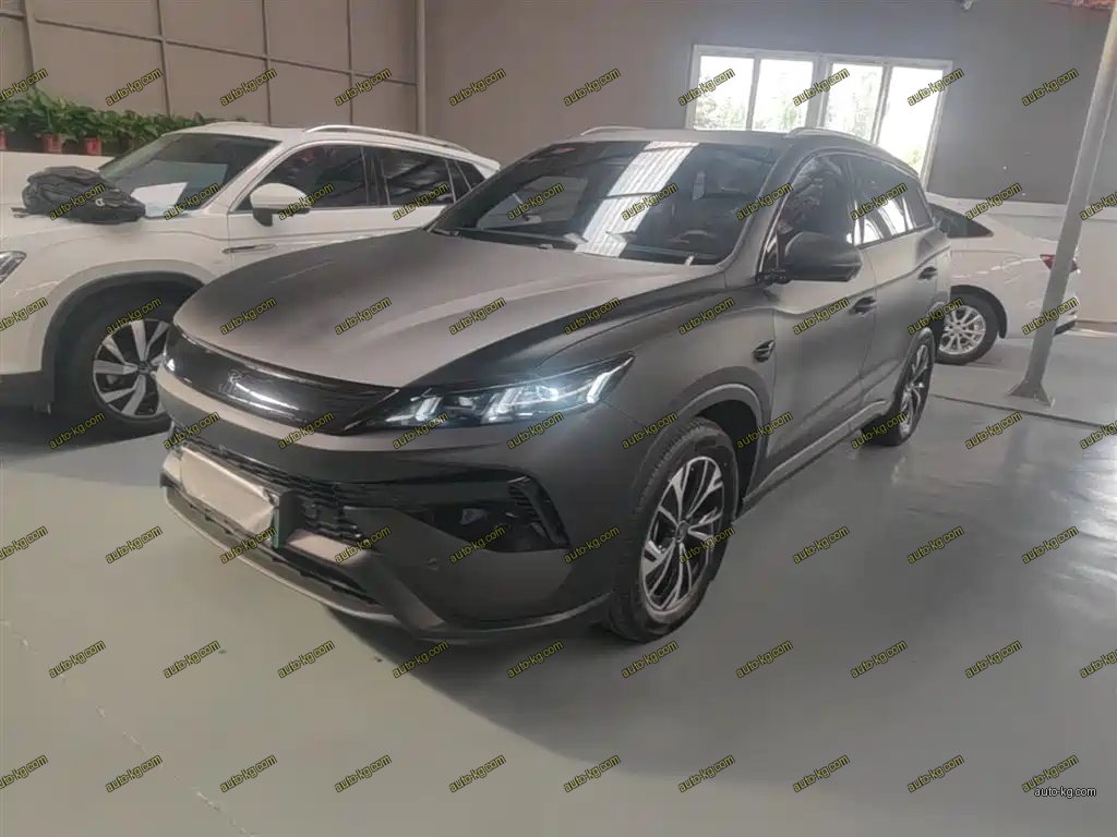BYD Pro New Energy 2025