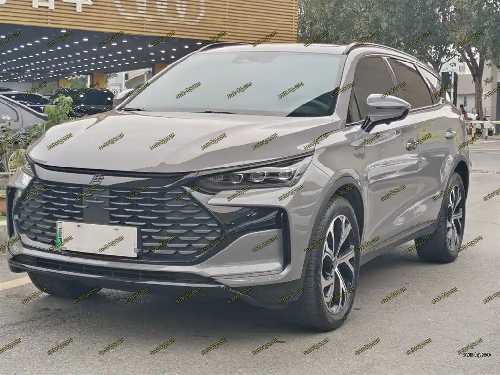 BYD Tang New Energy 2025