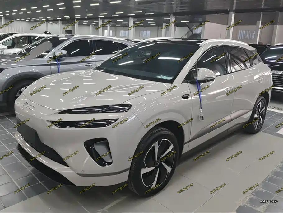 BYD 海狮06 2026
