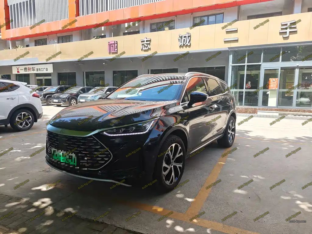 BYD Tang New Energy 2025