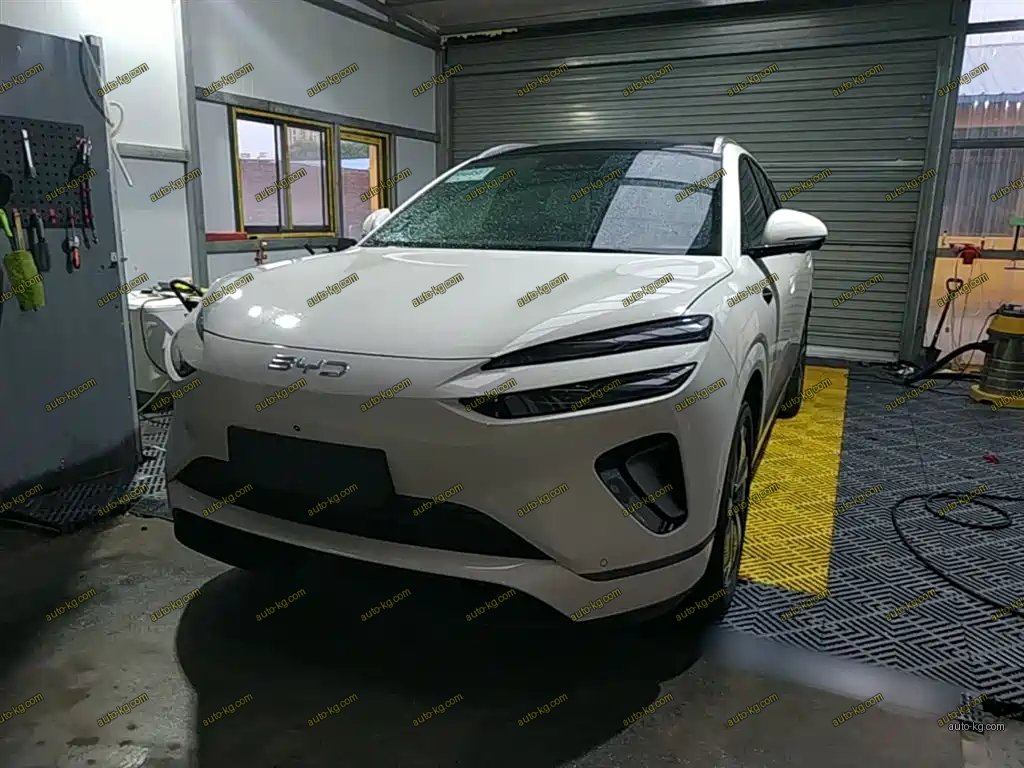 BYD 海狮06 2025