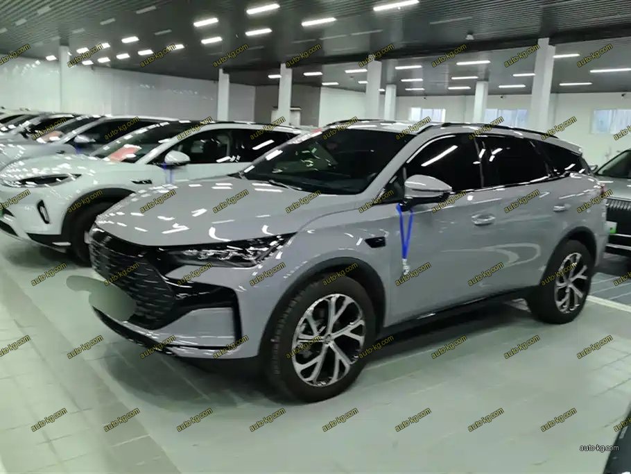BYD Tang New Energy 2025