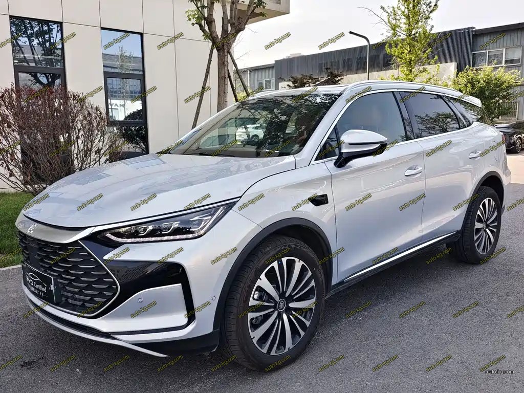 BYD Tang New Energy 2025