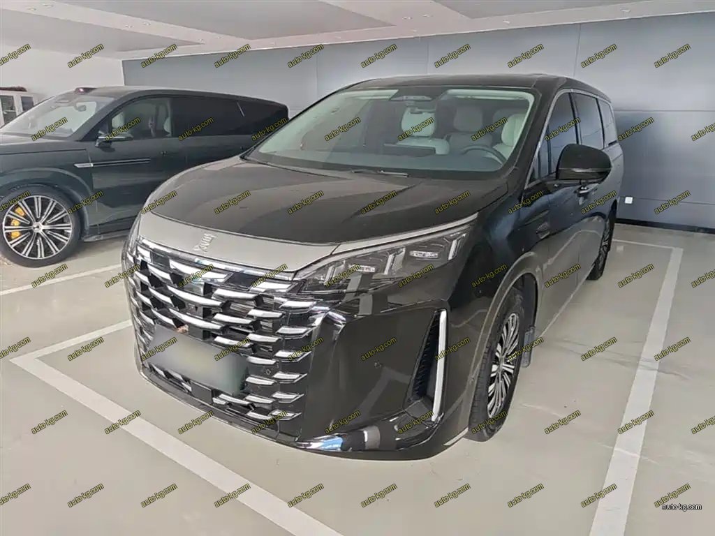 BYD Xia 2025