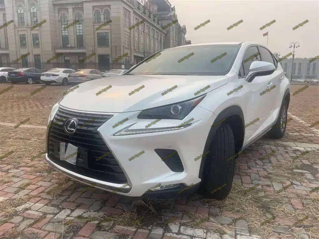Lexus NX 2019