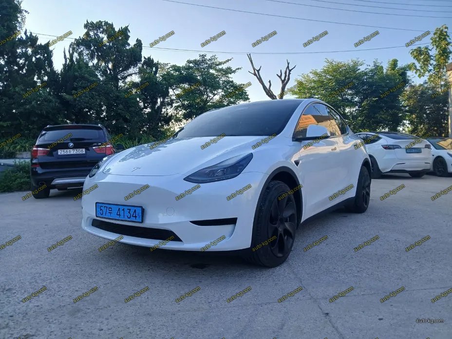 Tesla Model Y 2024