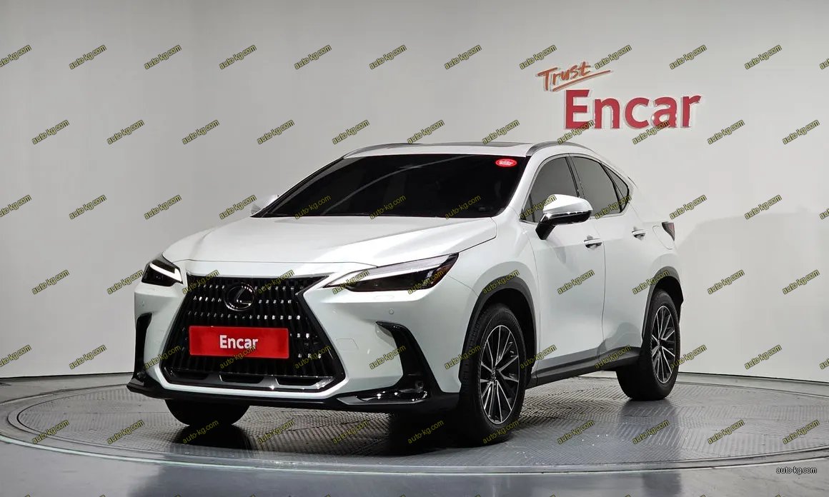 Lexus NX 2022