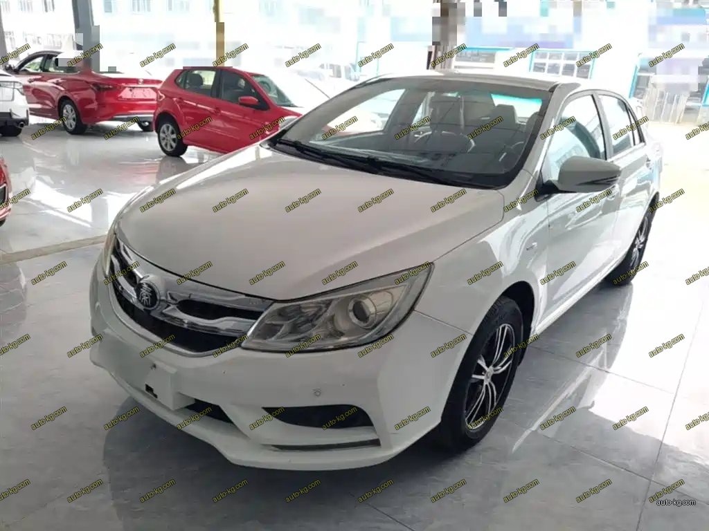 BYD Surui 2016