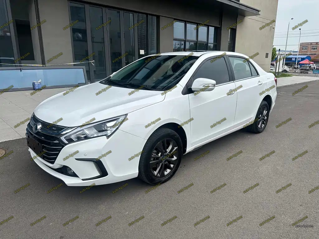 BYD Qin NEV 2017