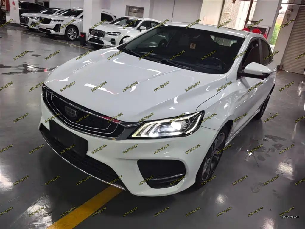 Geely Binrui 2019