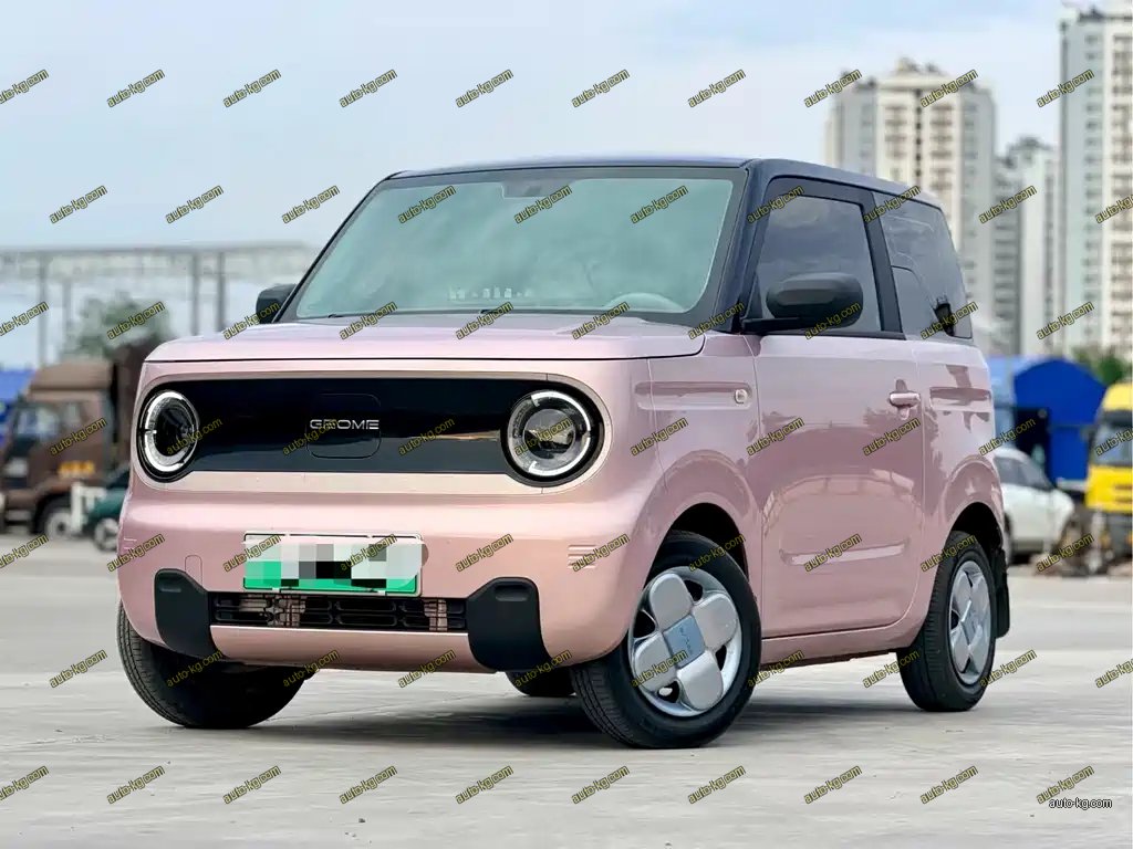 Galaxy Panda 2023