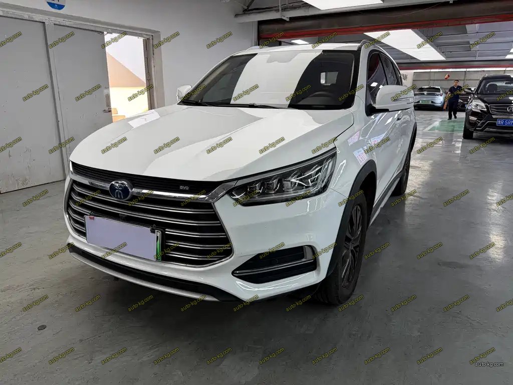 BYD New Energy 2018
