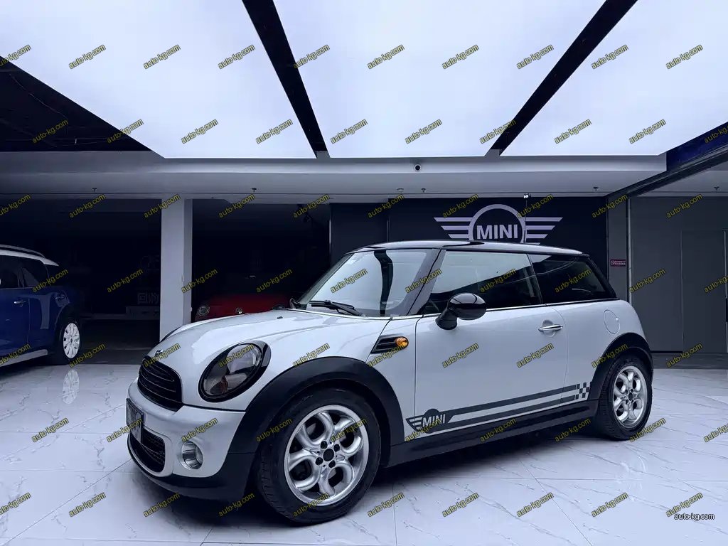 Mini Mini 2011
