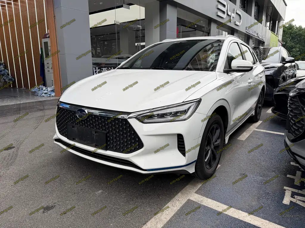 BYD e2 2020