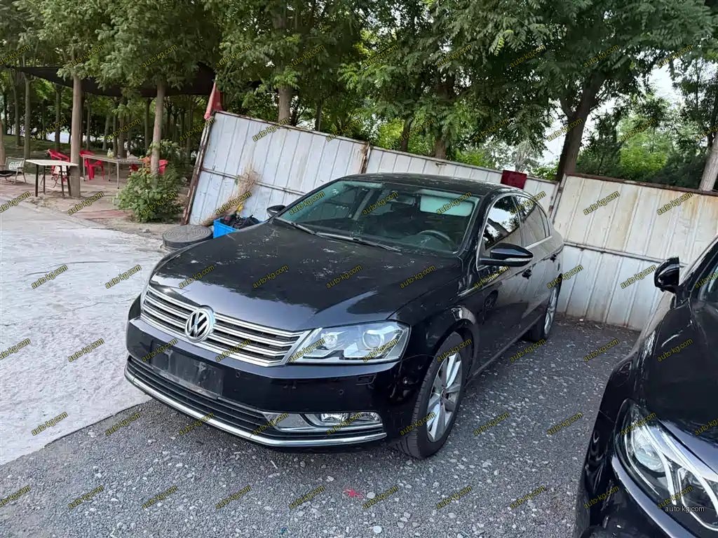 Volkswagen Magotan 2014
