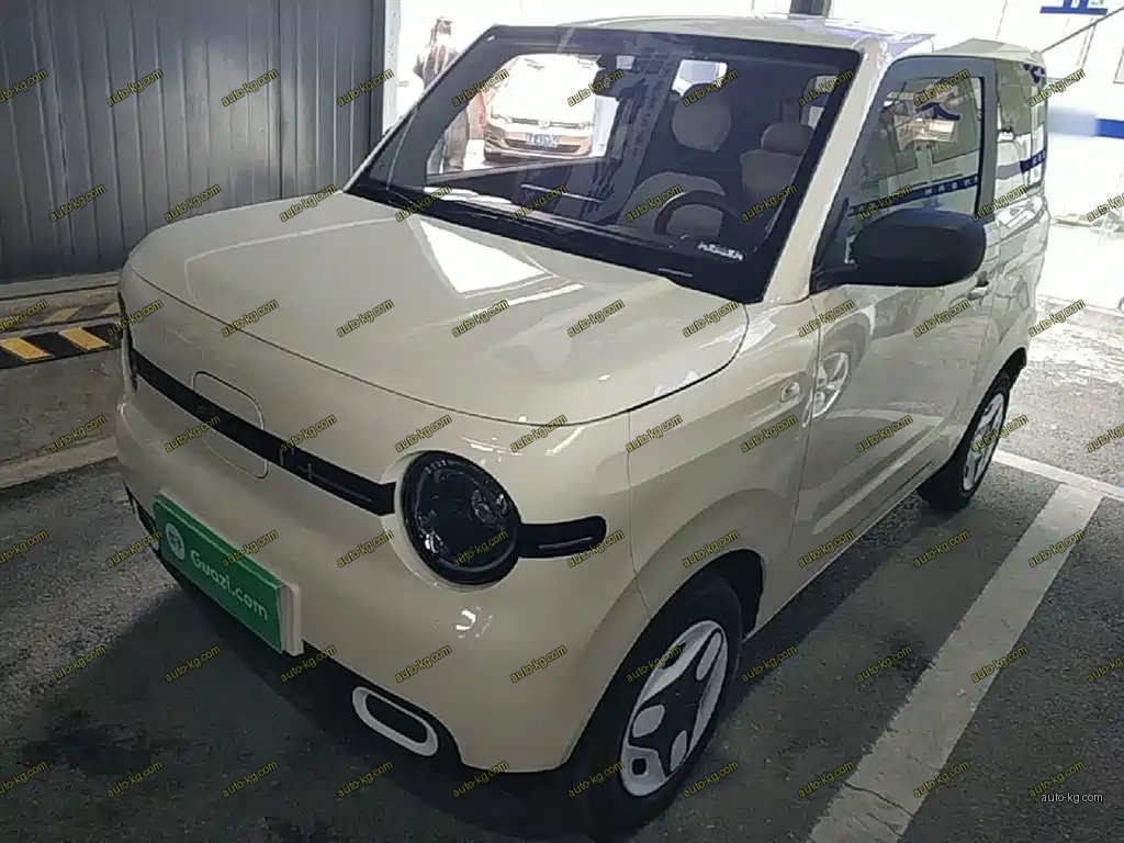 Galaxy Panda 2025