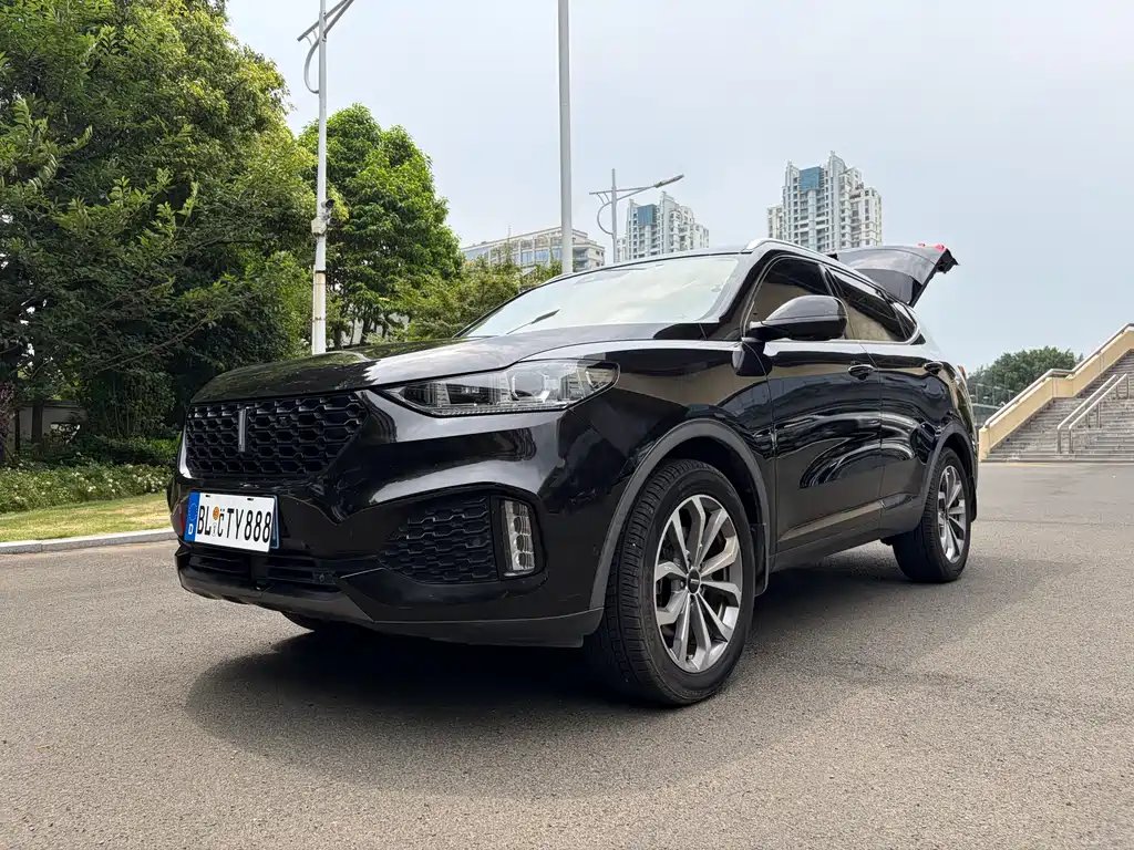 Wey Wey VV6 2018