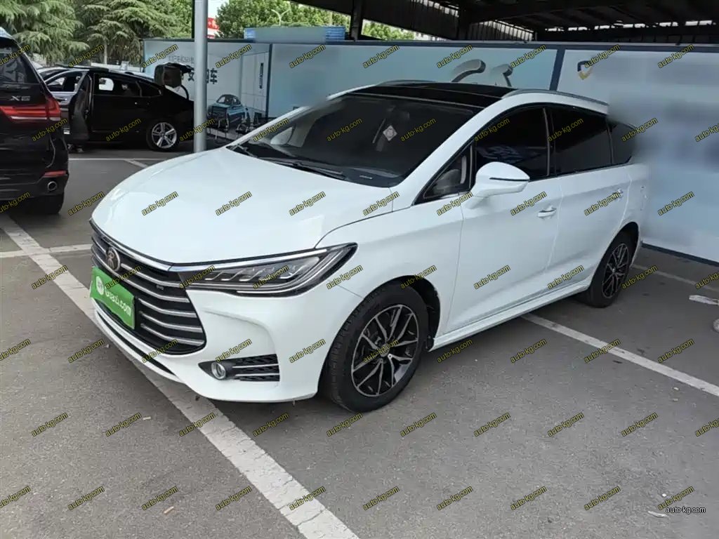 BYD MAX 2018