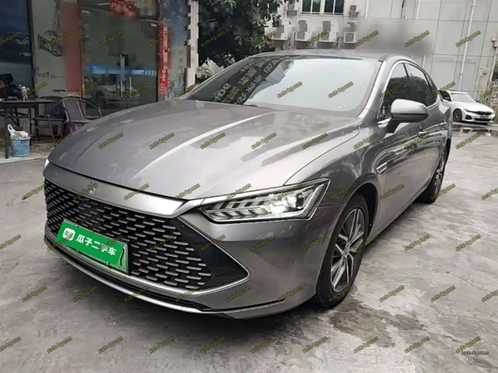 BYD Qin PLUS 2021