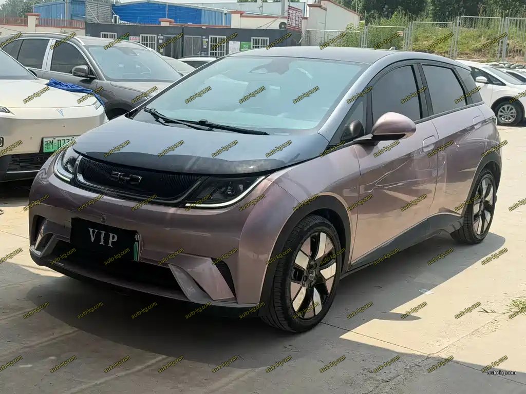 BYD Dolphin 2022